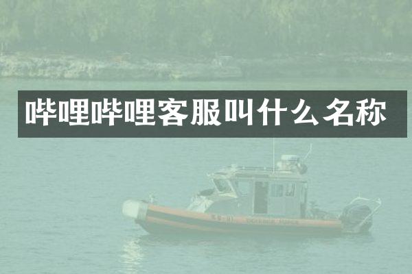 哔哩哔哩客服叫什么名称