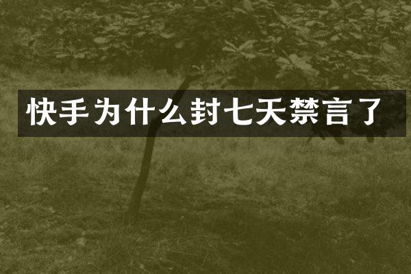 快手为什么封七天禁言了