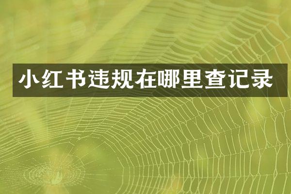 小红书违规在哪里查记录