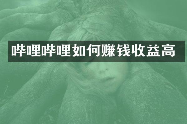 哔哩哔哩如何赚钱收益高