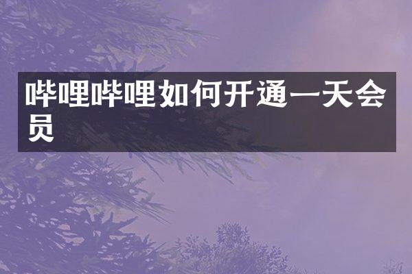 哔哩哔哩如何开通一天会员