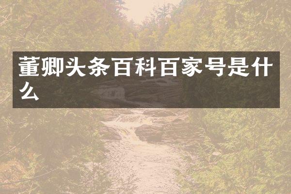 董卿头条百科百家号是什么