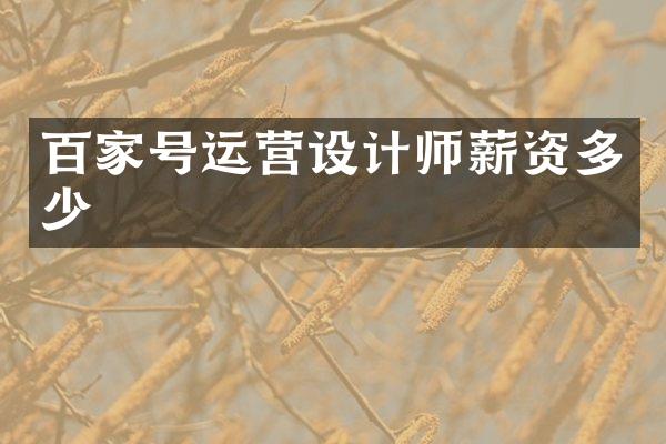 百家号运营设计师薪资多少