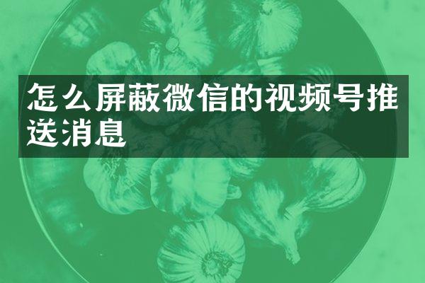 怎么屏蔽微信的视频号推送消息
