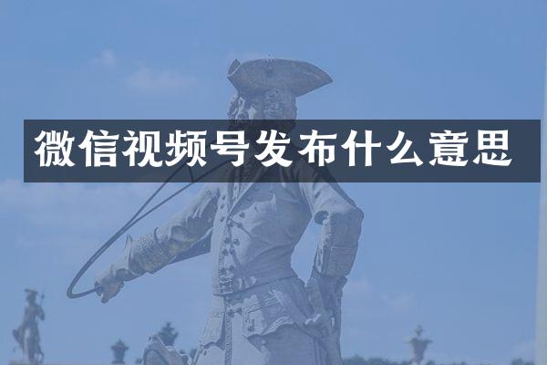 微信视频号发布什么意思