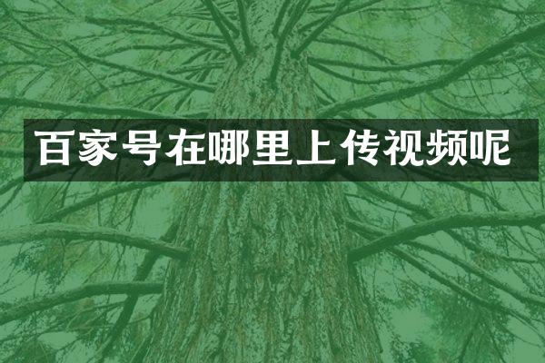 百家号在哪里上传视频呢