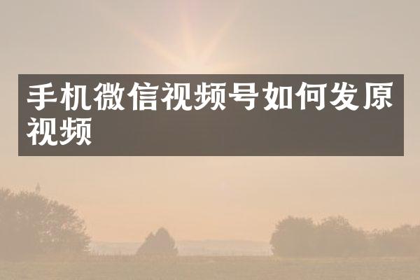手机微信视频号如何发原视频