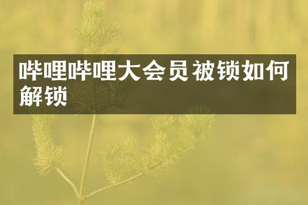 哔哩哔哩大会员被锁如何解锁