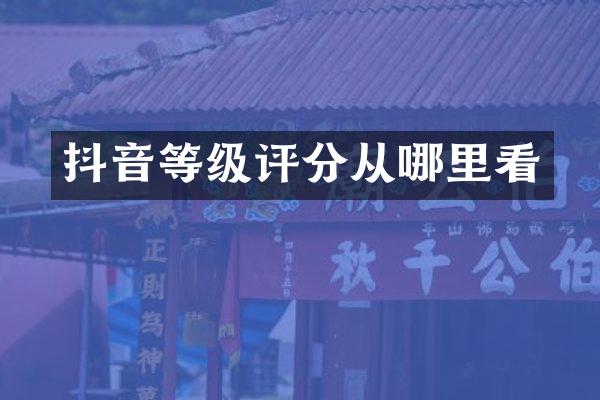 抖音等级评分从哪里看
