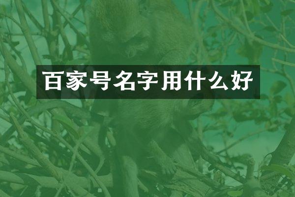 百家号名字用什么好