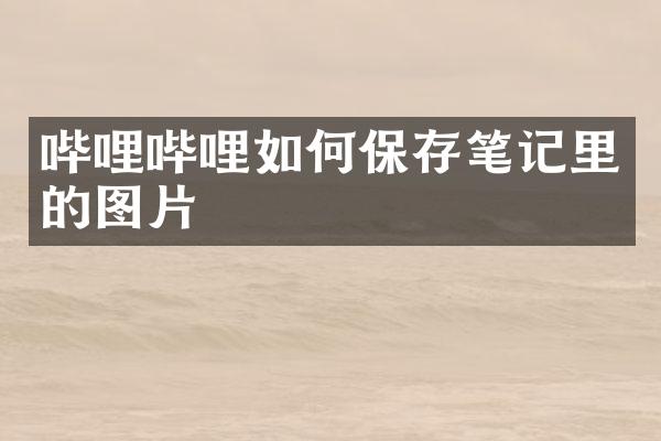 哔哩哔哩如何保存笔记里的图片
