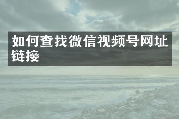 如何查找微信视频号网址链接