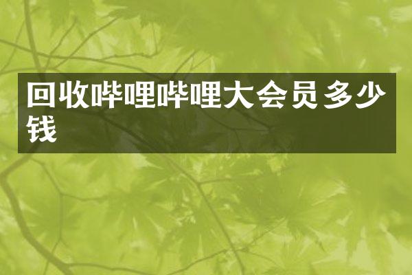 回收哔哩哔哩大会员多少钱
