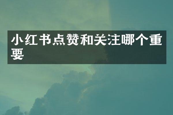 小红书点赞和关注哪个重要