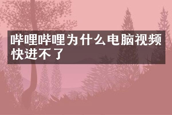 哔哩哔哩为什么电脑视频快进不了