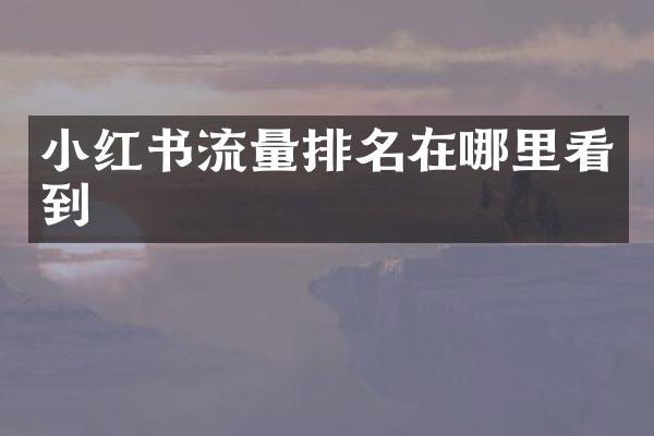 小红书流量排名在哪里看到