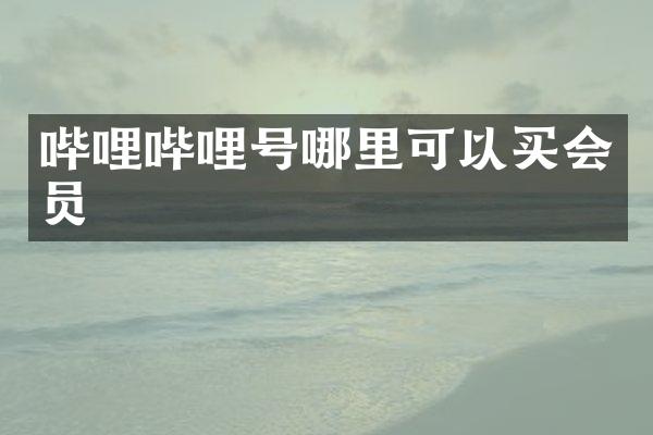 哔哩哔哩号哪里可以买会员