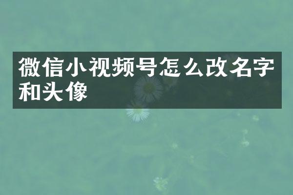 微信小视频号怎么改名字和头像