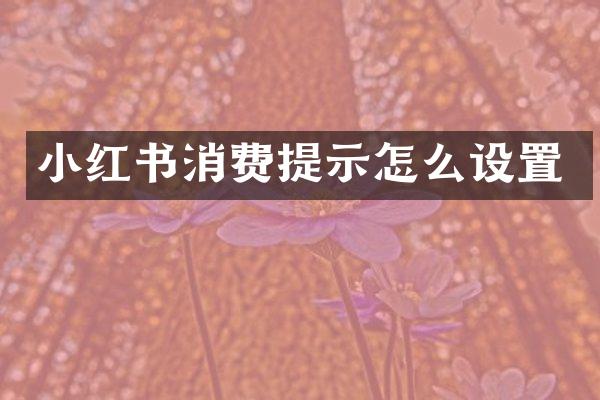小红书消费提示怎么设置
