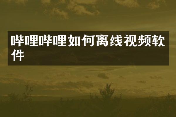 哔哩哔哩如何离线视频软件