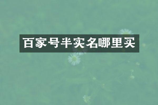 百家号半实名哪里买