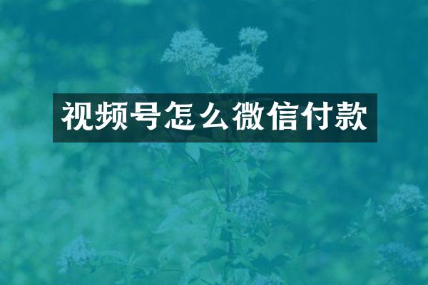 视频号怎么微信付款