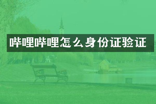 哔哩哔哩怎么验证