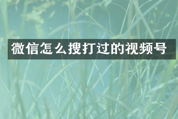 微信怎么搜打过的视频号