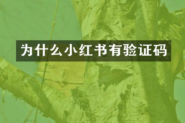 为什么小红书有验证码