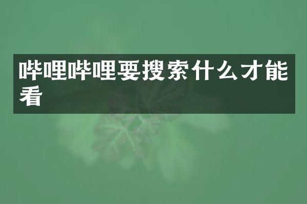 哔哩哔哩要搜索什么才能看