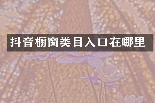抖音橱窗类目入口在哪里