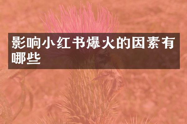 影响小红书爆火的因素有哪些