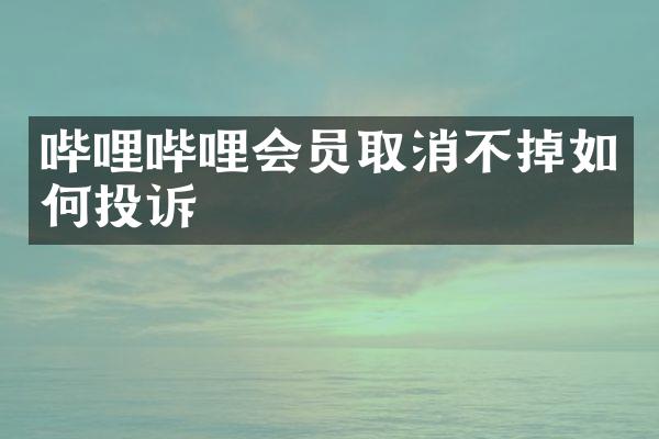 哔哩哔哩会员取消不掉如何投诉