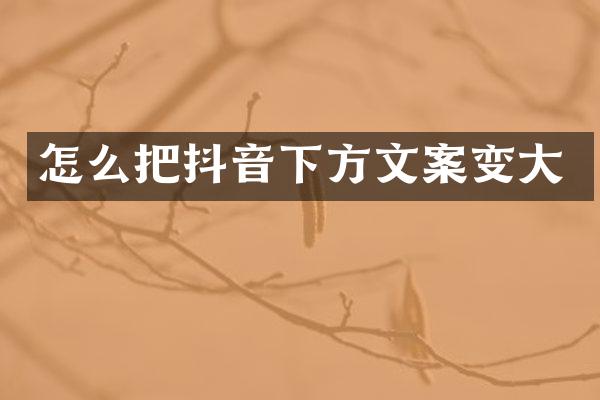 怎么把抖音下方文案变大