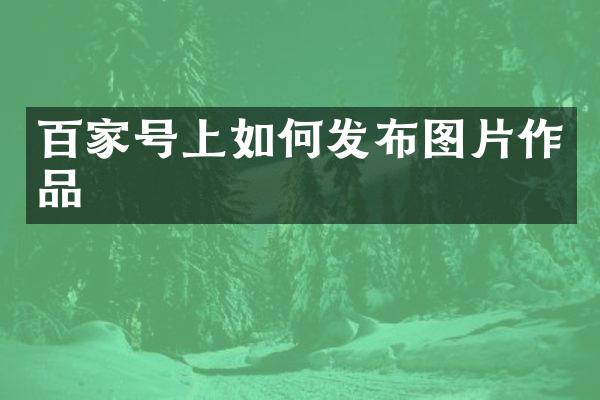 百家号上如何发布图片作品