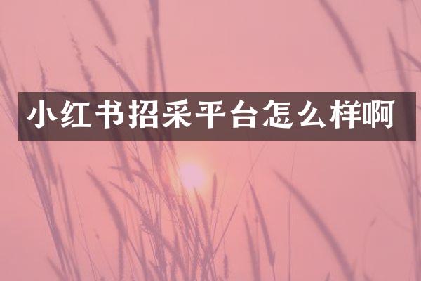 小红书招采平台怎么样啊