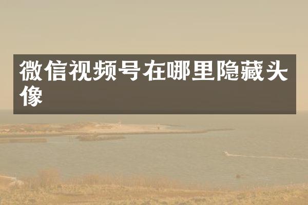 微信视频号在哪里隐藏头像