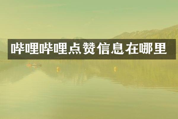 哔哩哔哩点赞信息在哪里