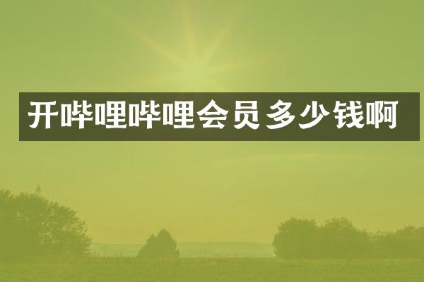 开哔哩哔哩会员多少钱啊