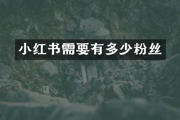 小红书需要有多少粉丝