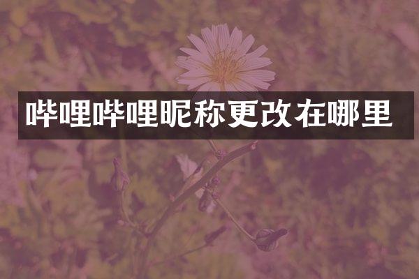 哔哩哔哩昵称更改在哪里