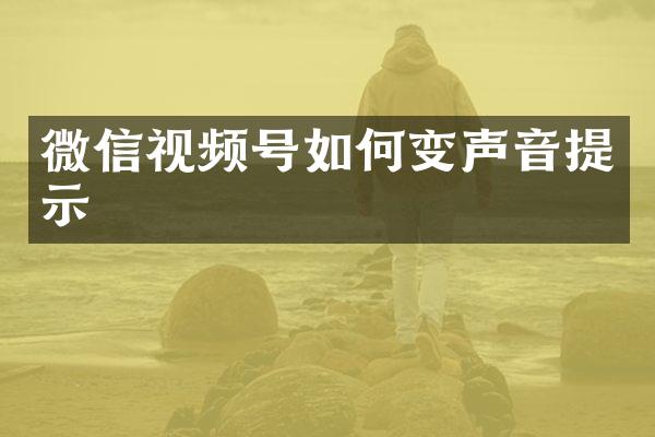 微信视频号如何变声音提示
