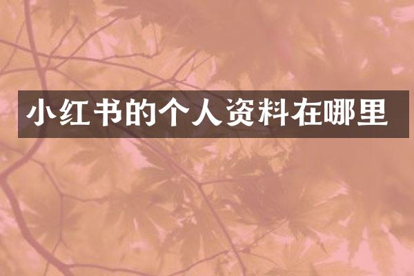 小红书的个人资料在哪里