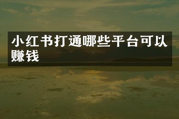 小红书打通哪些平台可以赚钱