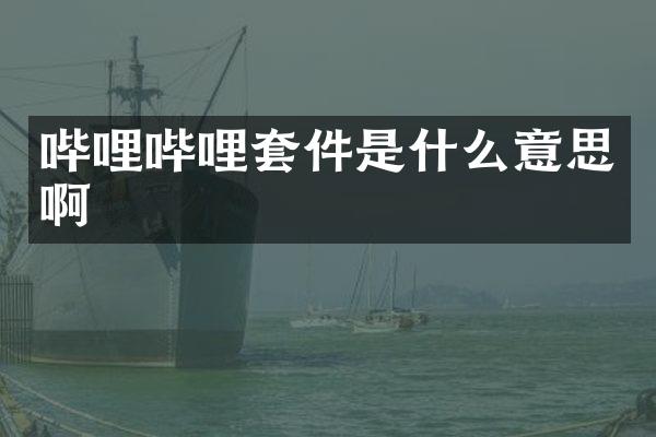 哔哩哔哩套件是什么意思啊
