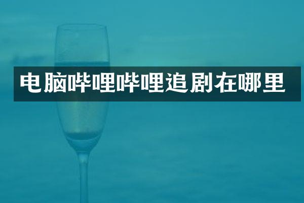 电脑哔哩哔哩追剧在哪里