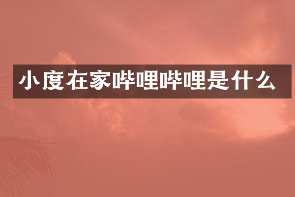 小度在家哔哩哔哩是什么
