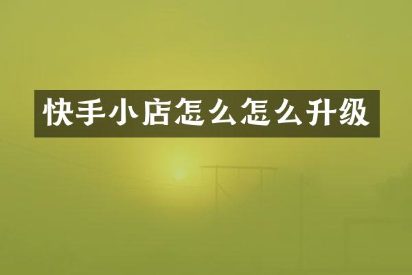 快手小店怎么怎么升级