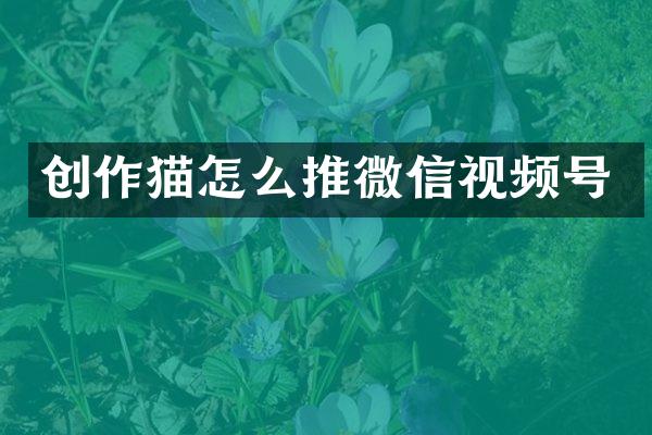 创作猫怎么推微信视频号