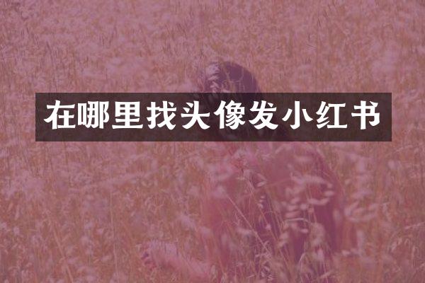 在哪里找头像发小红书